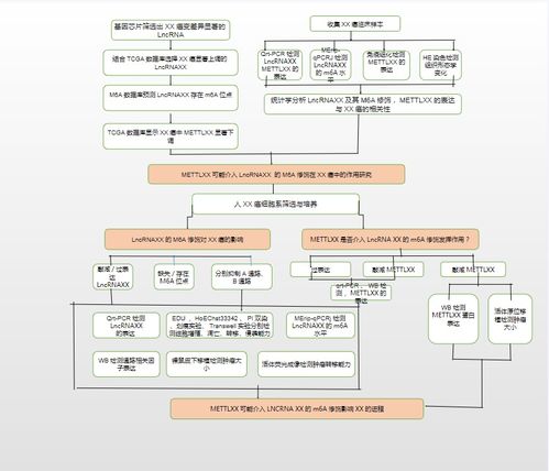 23個(gè)可編輯技術(shù)路線圖模板與繪制技巧: 涵蓋國自然9大熱點(diǎn)技術(shù)路線及貨物技術(shù)進(jìn)出口業(yè)務(wù)指導(dǎo)